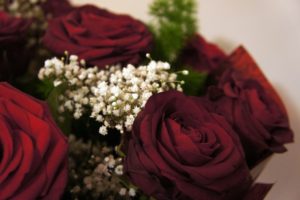 Classic romantic red roses and Baby's breath